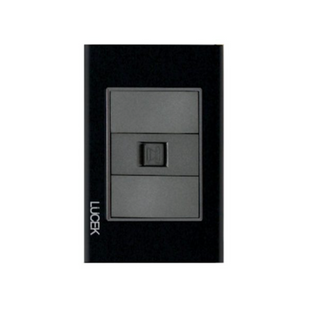 Placa cristal con toma teléfono BP17CNN - LUCEK