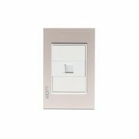 Placa Cristal Dorada Con Conexión a Módem/Internet BP12CDM-LUCEK