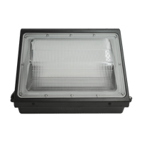 Wallpack 100W/120W - TECNOLED